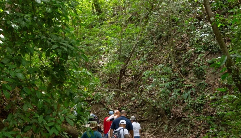 En la región Caribe han sido priorizadas 880.000 hectáreas de conservación