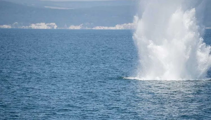 Minas en el Mar Negro.