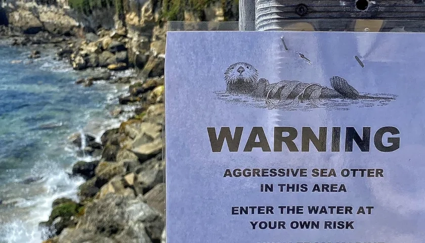 La nutria de cinco años ataca a las personas en la playa.