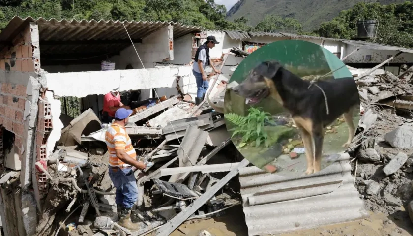 La mascota 'Trostki' salvó a una familia.