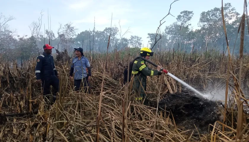 Incendio controlado por la Policía en Parque Isla de Salamanca.