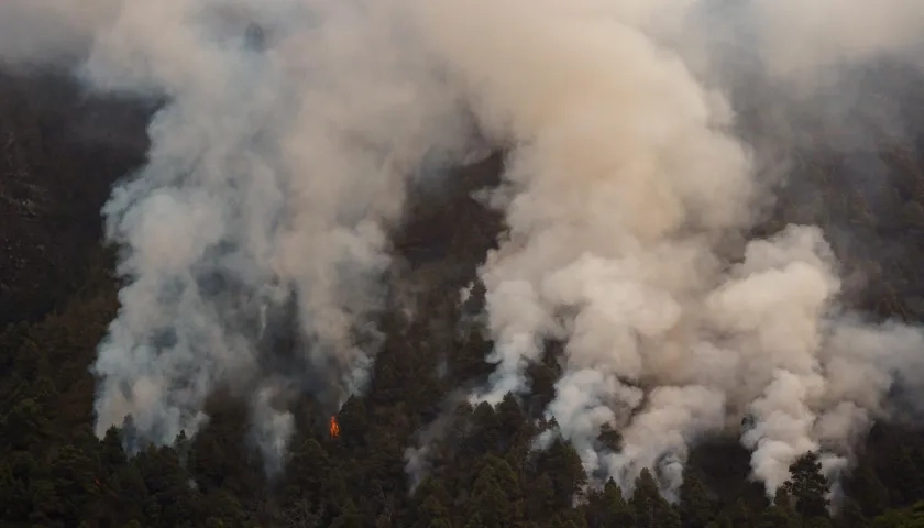 Una columna de humo frente al barrio de Pinolere, en el municipio de La Orotava