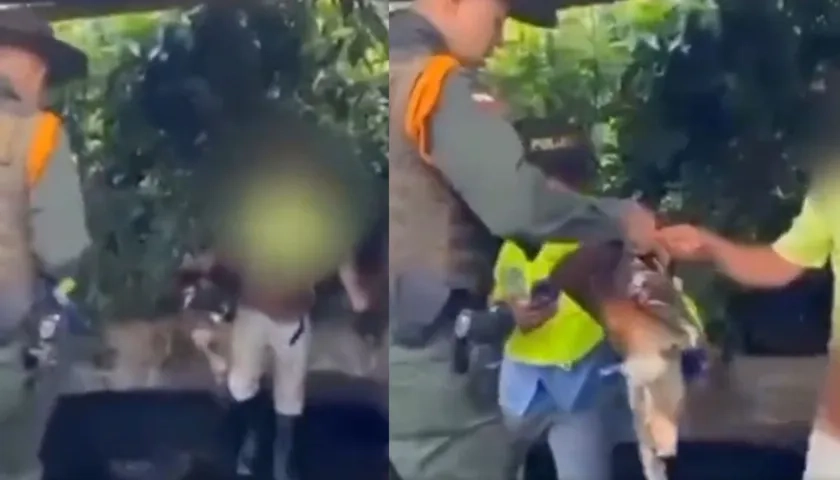 Capturados por el asesinato a puma.