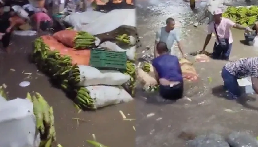 Las mazorcas en la inundación.