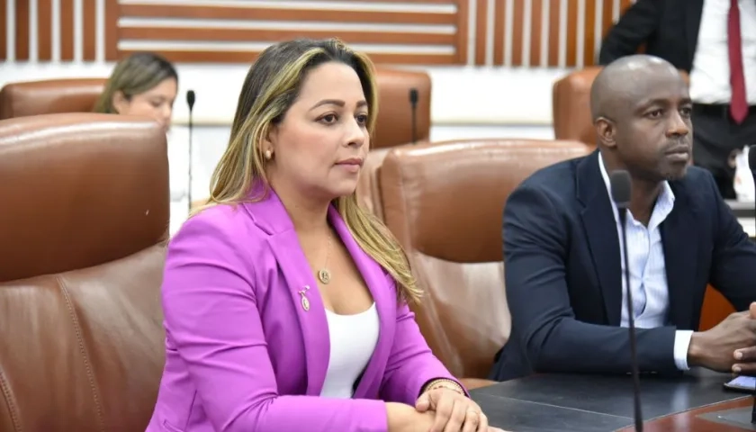 Ana Paola García Soto, Representante a la Cámara 