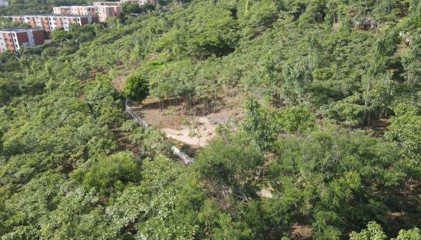 Bosque urbano ubicado en el barrio Campo Alegre.