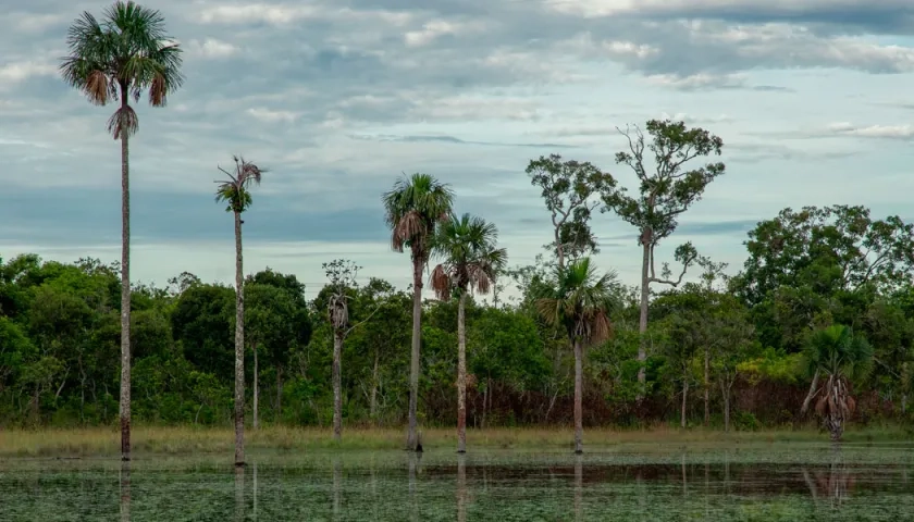 El nuevo Parque Natural de Colombia: la Serranía de Manacacías, en el Meta. 