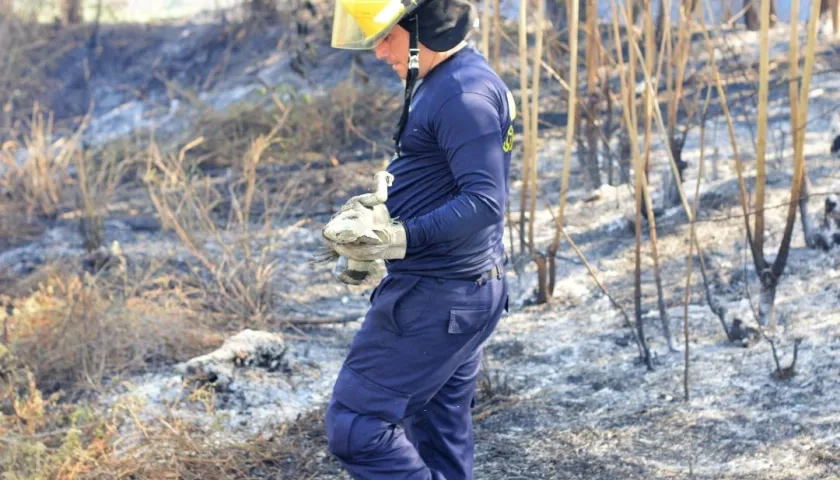 Zona del incendio en Santo Tomás