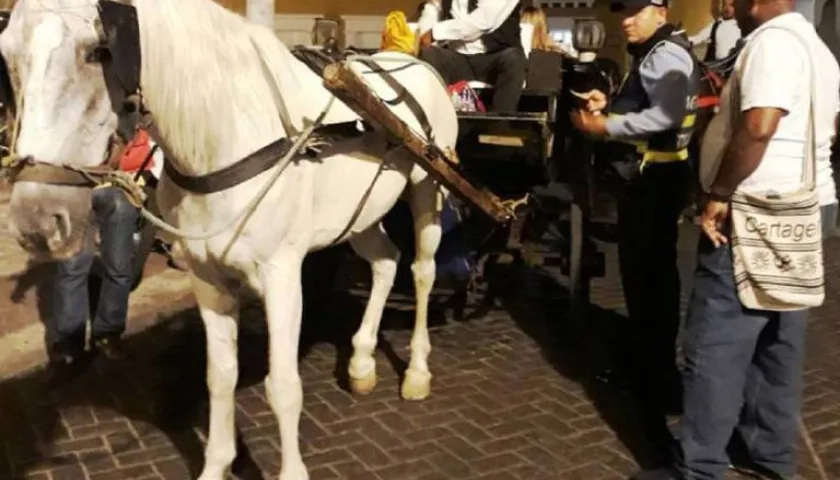 Operativos del DATT en Cartagena para vigilar caballos cocheros