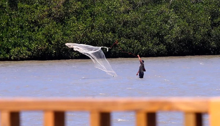 C.R.A. pidió a pescadores reportar anomalías.