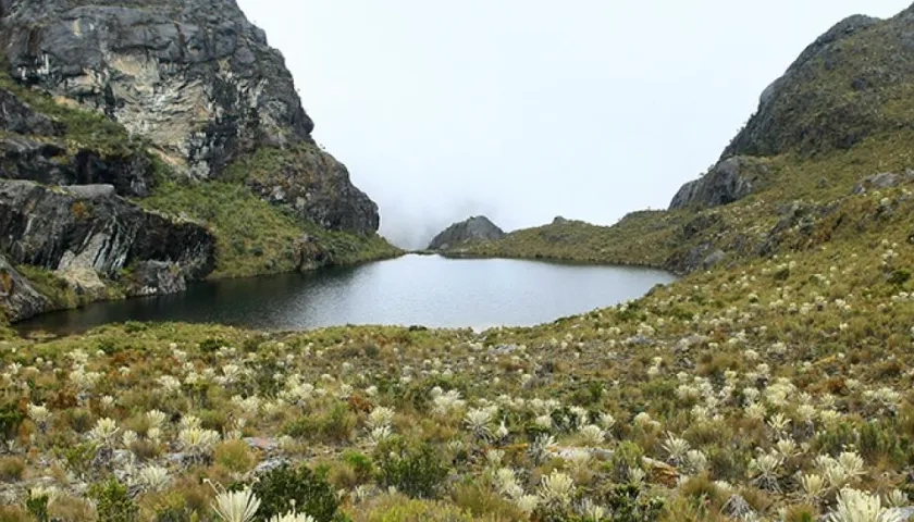 Páramo de Santurbán. 