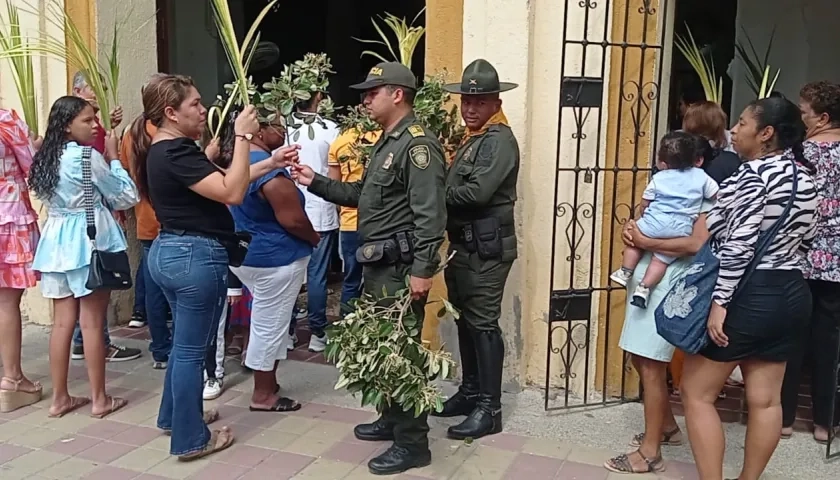 La palma de cera es una de las plantas que ha dado a conocer a Colombia en el exterior.