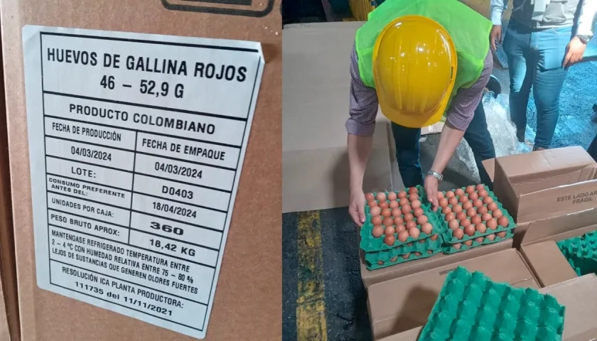 La primera exportación de huevos a Cuba salió ayer lunes.