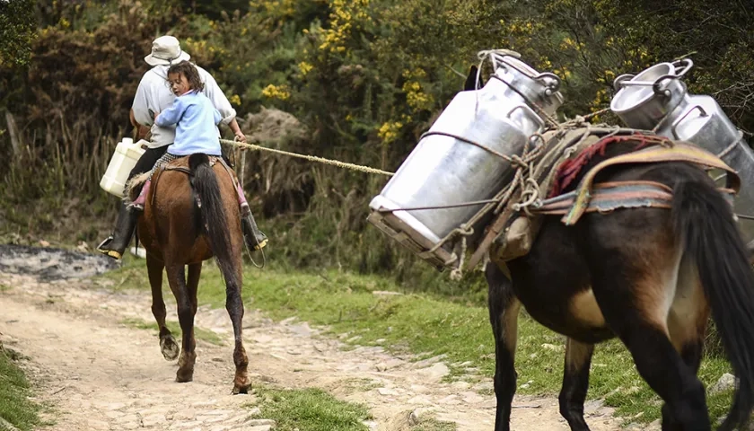 Productores rurales de leche
