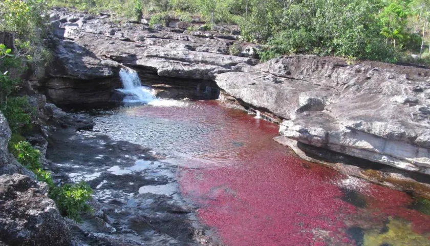  ANLA le revocó la licencia ambiental a petrolera por posibles daños a Caño Cristales. 