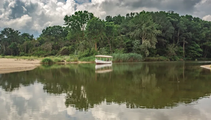 La Corte pidió al Congreso que desarrolle un marco normativo comprensivo.