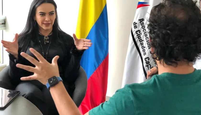 Luz María Zapata, directora de Asocapitales.