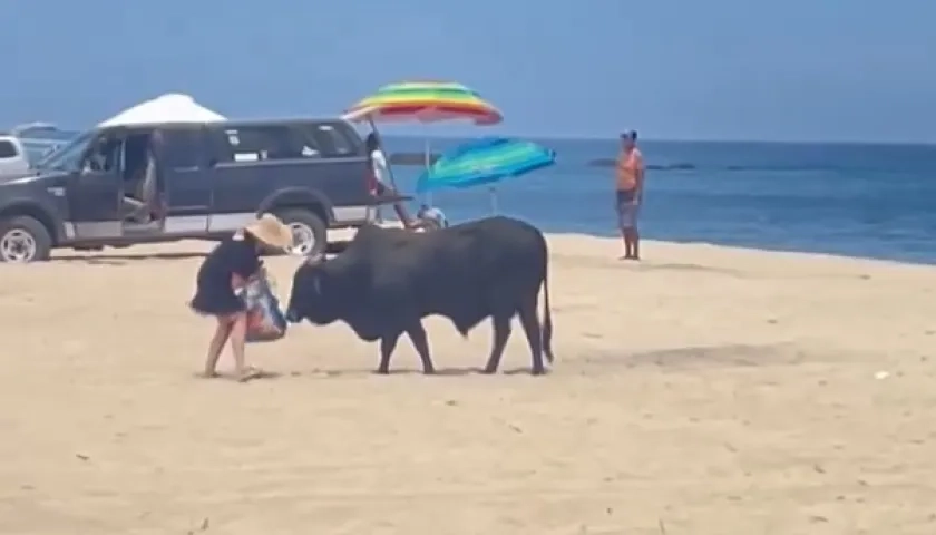 Toro en playa de México.