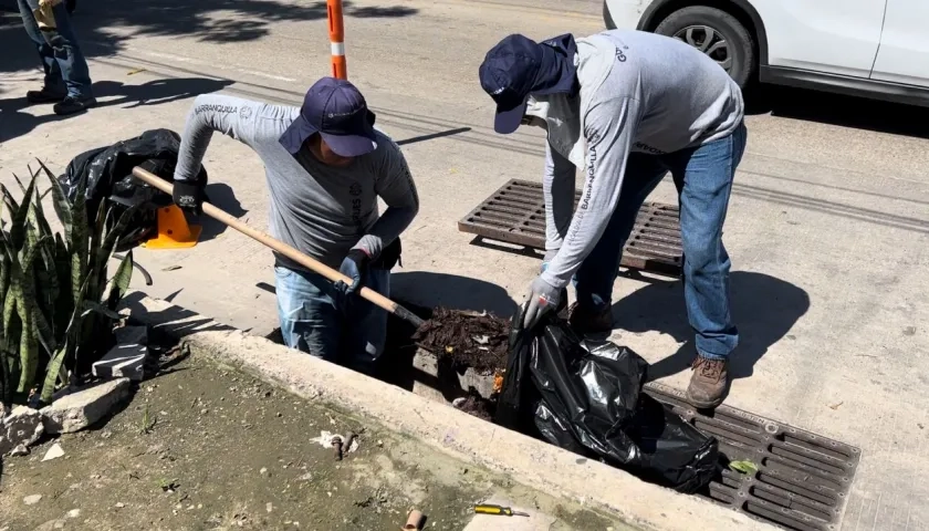 Limpieza de rejillas en varios sectores de la ciudad por parte de la ADI