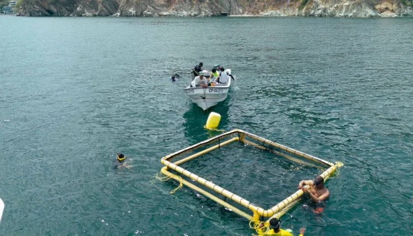 La jaula marina de 10 metros cúbicos 