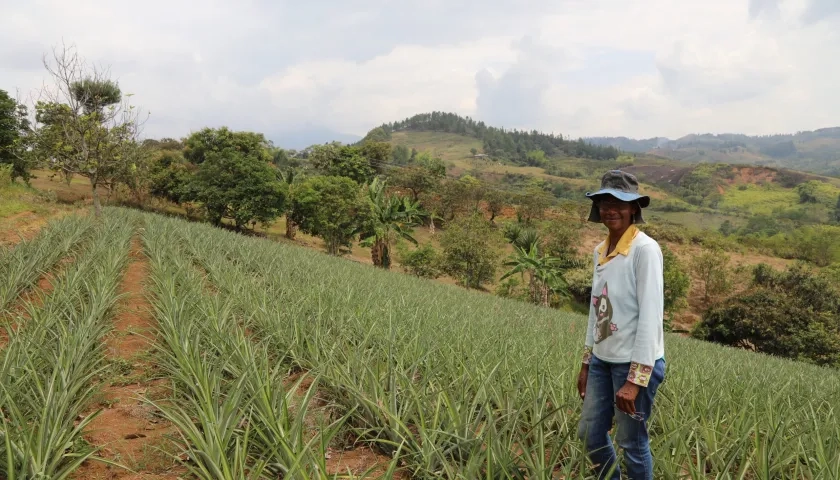 Imagen referencia entrega de tierras en el Cauca.