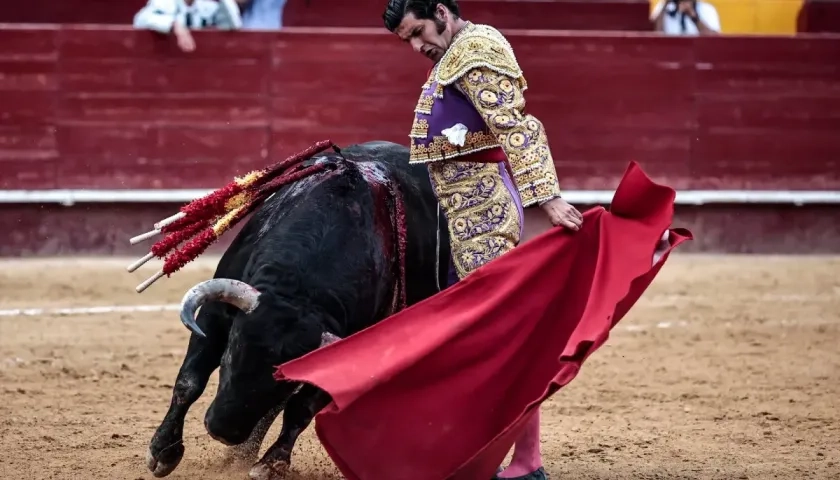 Corrida de toros,  novilladas y el rejoneo quedan prohibidos. 