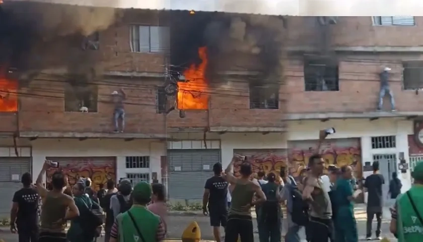 Hombre rescató 10 gatos.