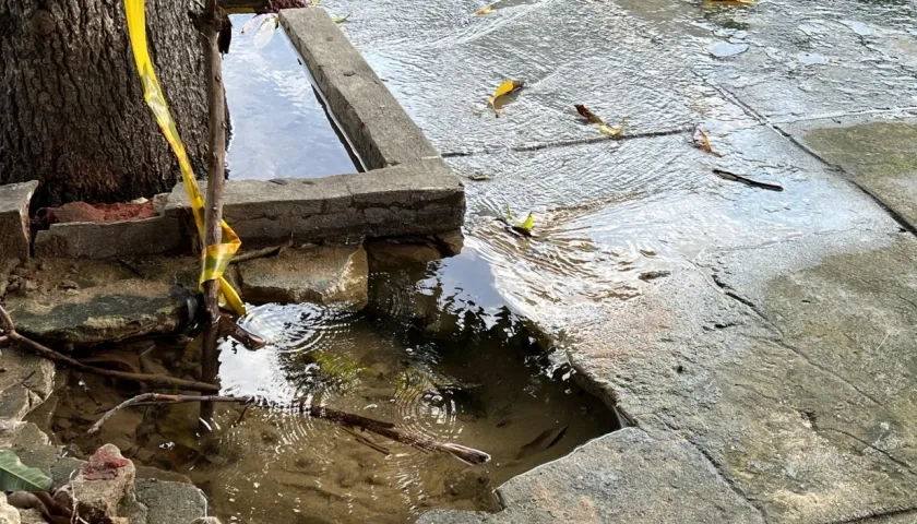 Fuga de agua en el barrio Los Andes. 