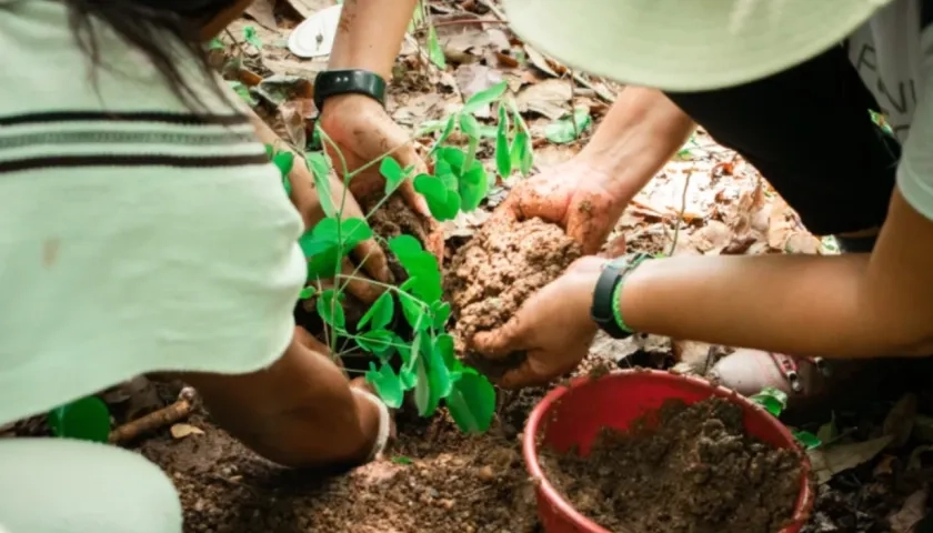 Los proyectos deben estar enfocados en combatir el cambio climático. 