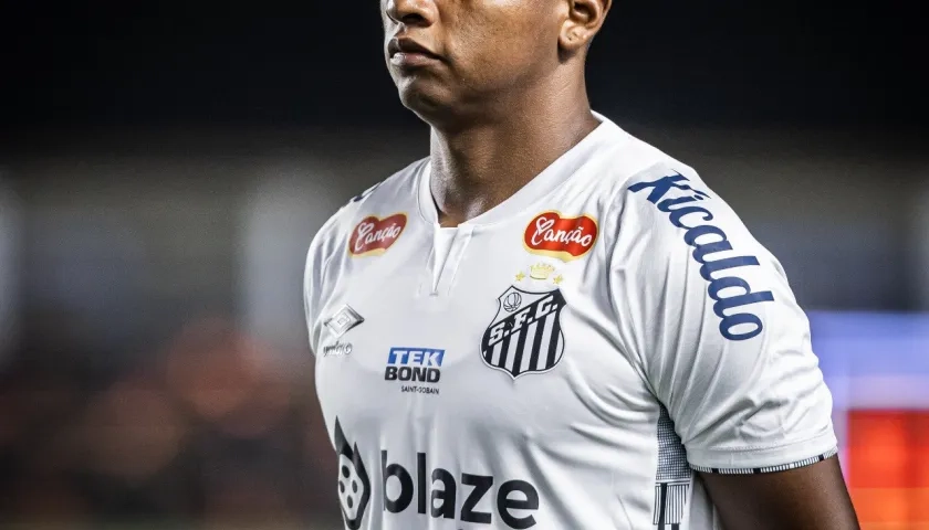 Alfredo Morelos, nuevo atacante del Atlético Nacional.