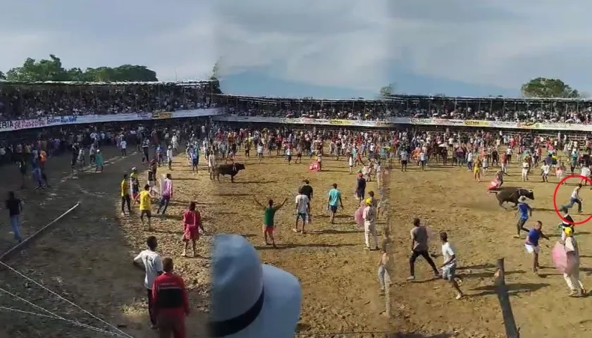 Momento del ataque del toro a un asistente a la corraleja. 