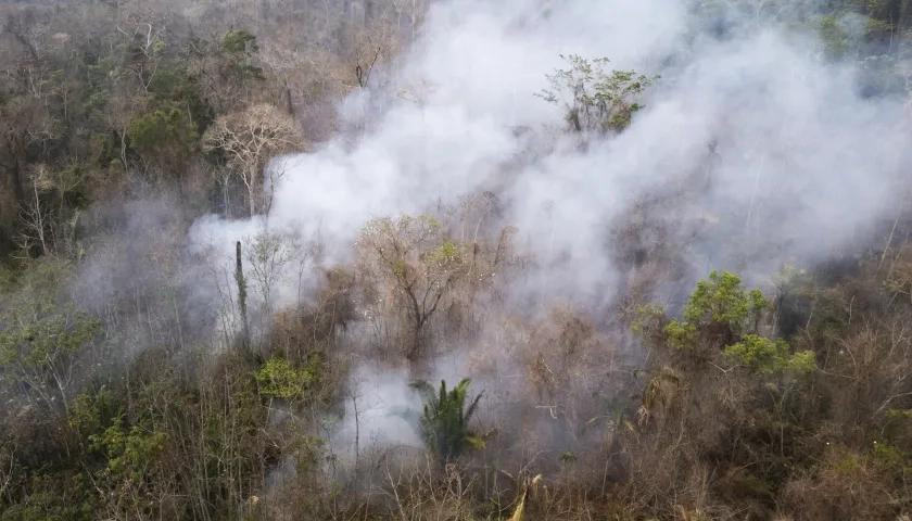 Incendios forestales en la Amazonía peruana.