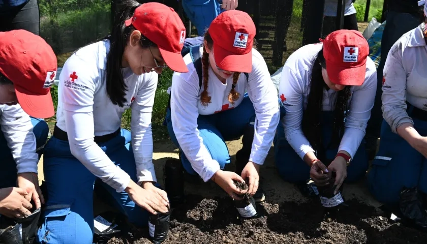 Voluntarios de la Cruz Roja.