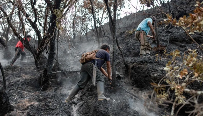 Imagen de bosques quemados en Perú. 