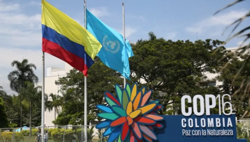 Bandera de Colombia, de la ONU y el logo de la COP16, en Cali. 