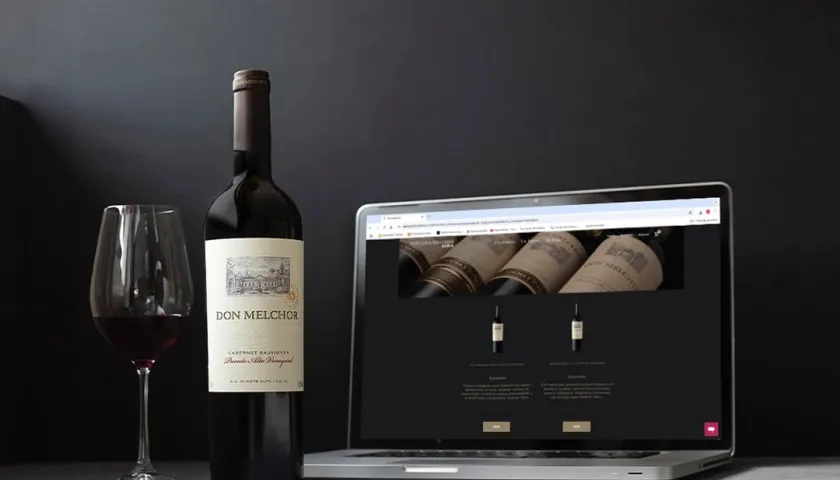 Don Melchor 2021, un Cabernet Sauvignon proveniente de los viñedos de Puente Alto.