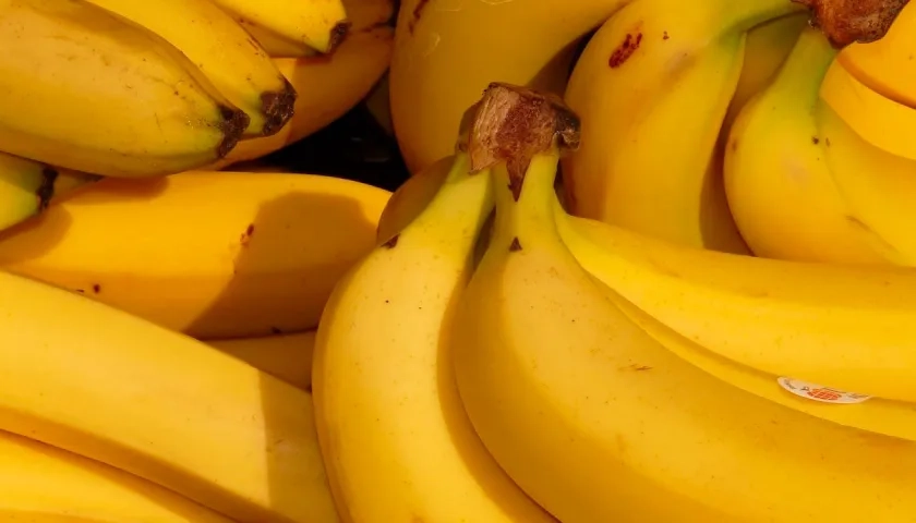 Exportación de banano creció 48,6%.