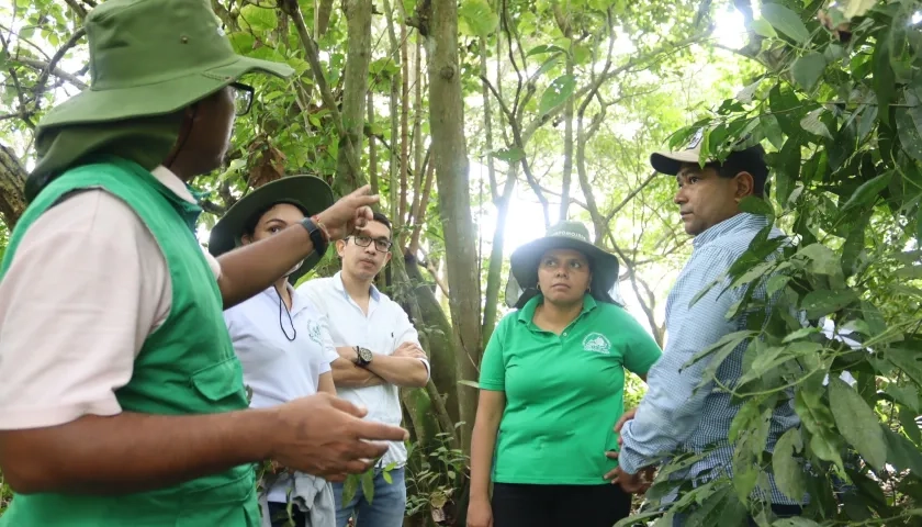 Acciones de búsqueda de los caimanes en San Marcos, Sucre.