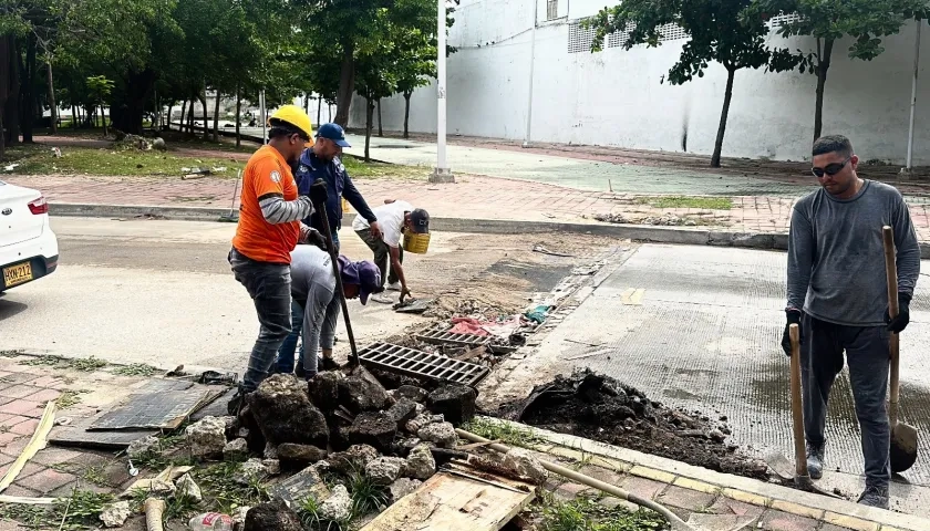 Jornada de limpieza y mantenimiento de las rejillas de desagüe. 