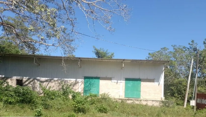 Planta despulpadora de mango