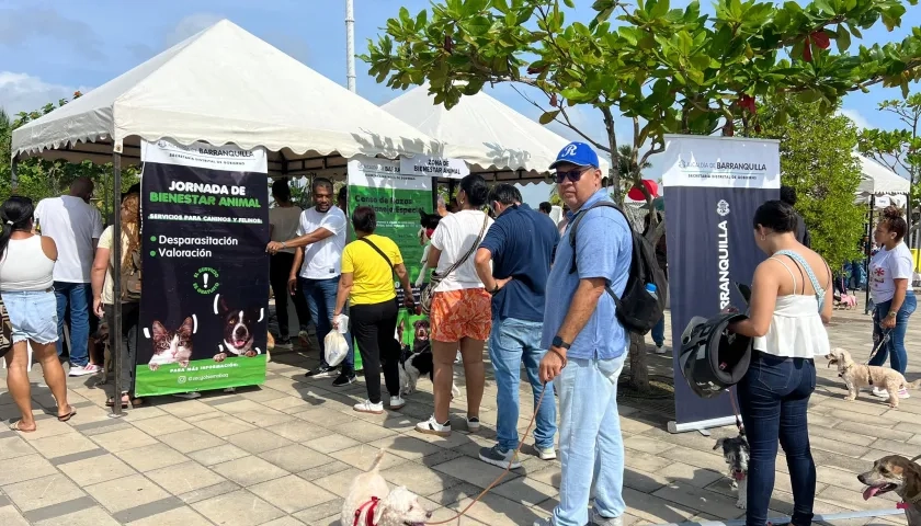 Jornadas de bienestar animal en Barranquilla.