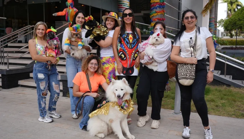 Las mascotas serán las protagonistas. 