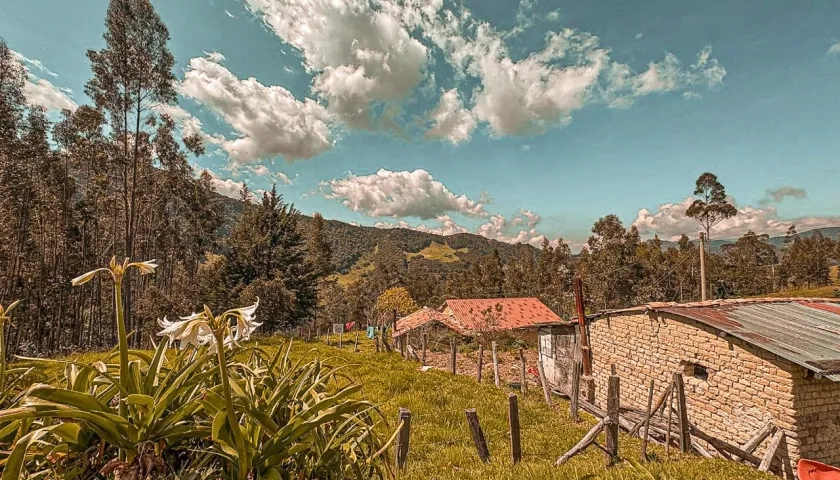 Imagen de referencia de un predio.