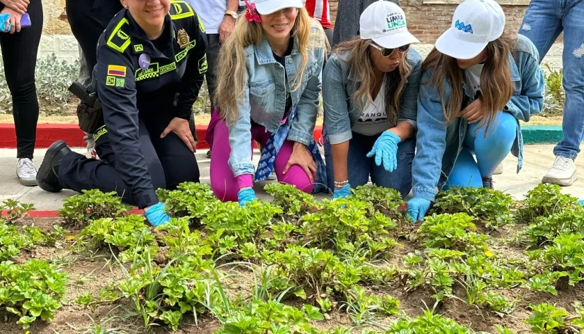 Iniciativa ‘Tu cuadra limpia y linda’. 