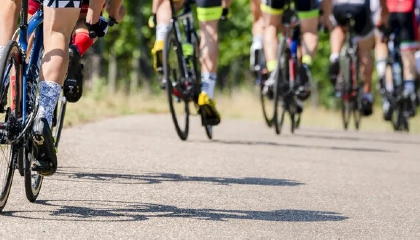 Imagen de referencia.