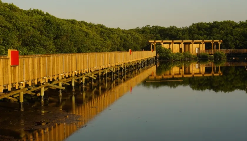  Ecoparque Ciénaga de Mallorquín, un espacio vivo de conexión. 