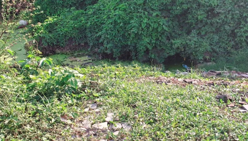 Cuerpo hallado en descomposición. 