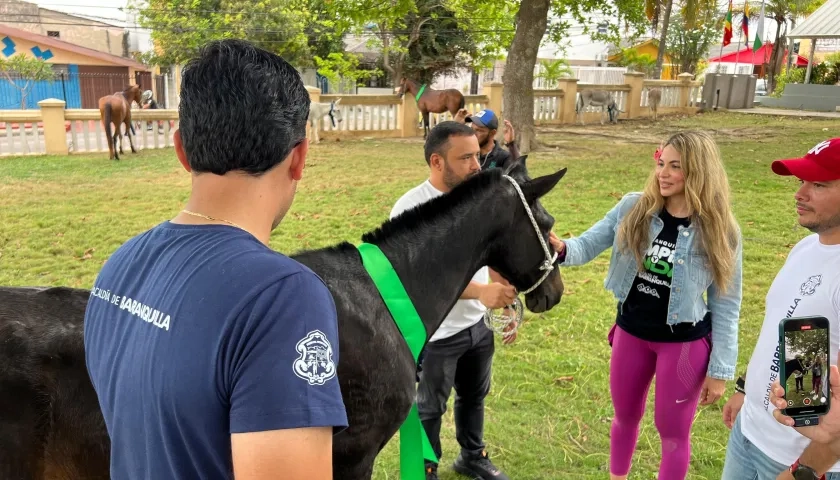 Animales entregados en adopción. 