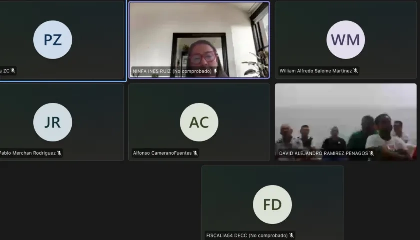 Intervención en la audiencia de Ninfa Inés Ruiz, apoderada de David de Castro Macías. 