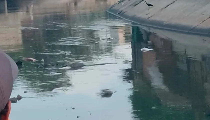 Lugar donde fue hallado el cuerpo.